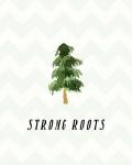 Strong Roots