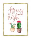 Merry and Bright Succulent