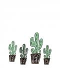 Cactus Set