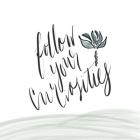 Follow Your Curiosity