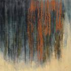 Through the Gilded Veil