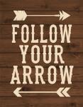 Follow Your Arrow