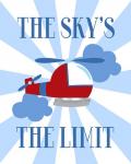 The Sky's the Limit