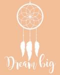 Dream Big