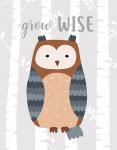 Grow Wise Owl