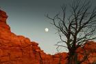 Full Moon