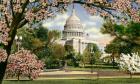 US Capitol