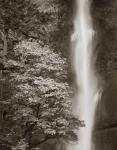 Multnomah Falls