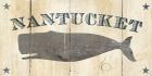 Nantucket Whale