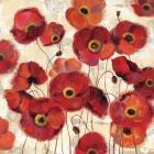 Bold Poppies