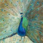 Blue Peacock on Gold