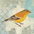 Pine Warbler