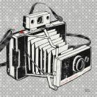 Vintage Analog Camera