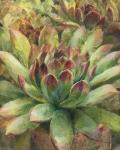 Nature Delight III