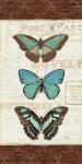 Papillons I