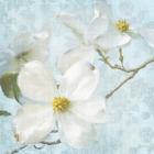 Indiness Blossom Vintage I Pale
