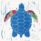 Sea Creature Turtle Color