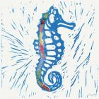 Sea Creature Sea Horse Color