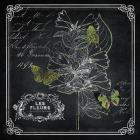 Chalkboard Botanical II