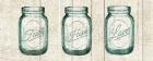 Flea Market Mason Jars Panel I v.2
