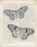 Vintage Butterflies on Newsprint