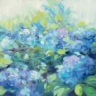 Bright Hydrangea II