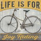Joy Ride I