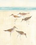 Sandpipers Crop II