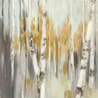 Silver Birch I