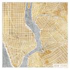 Gilded New York  Map