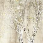 Blue Birch Neutral