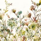 Transparent Garden Warm