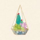 Succulent Terrarium II