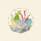 Succulent Terrarium III