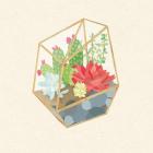 Succulent Terrarium IV