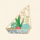 Succulent Terrarium V