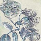 Belle Fleur I