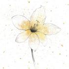 Gilded Graphite Floral II