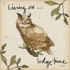 Lodge Life VI