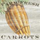 Farm Fresh Carrots