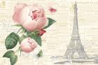 Roses in Paris II