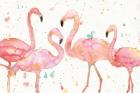 Flamingo Fever I