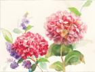 Watercolor Hydrangea