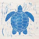 Sea Creature Turtle Blue