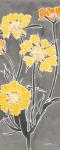 Cloisonne Beauty II Gray