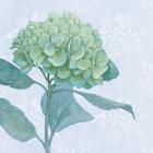 Blue Hydrangea I