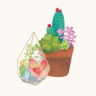 Succulent Garden I