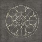 Rosette III Gray