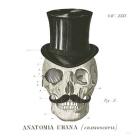 Dandy Bones I