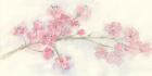 Cherry Blossom I